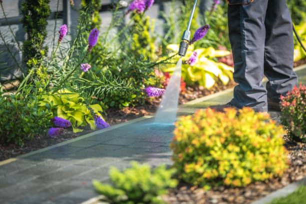 Best Fence Cleaning  in Lovington, IL